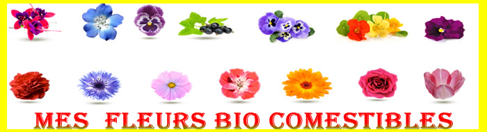 mes fleurs bio